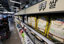 산지쌀값 23만232원…상승세 지속에 정부양곡 공급 검토