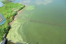 낙동강 공기 중 조류독소 없었다…정부·시민사회 공동조사 결론