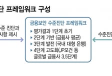 "망분리 없애고 AI 한걸음 더"…금융보안원, 보안 자율진단 서비스 도입