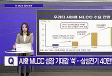 [메가사이클] 최태원·젠슨황, 미국서 'HBM 깐부' 과시