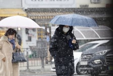 [내일 날씨] 오전까지 곳곳 비·눈…오후부터 차차 맑아지고 '포근'