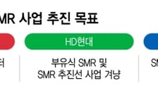 수백조 시장 열리는데… 제도에 발목 잡힌 국내 'SMR' 도입