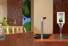 오설록, 올리브베러에서 '티 바' 운영