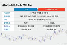 ELS 판매 어려워지자…구조 유사한 '랩'으로 판매