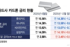 원가 상승에도 카드론 금리 '뚝'… 포용금융인가 고객쟁탈전인가