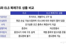 고위험 ELS 판매 막히자… '판박이 상품' 꺼내는 업계