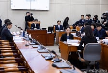 행정통합법, 與주도 행안위 소위 통과…국민의힘 "역풍 맞을것"