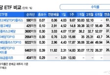60% 수익 vs 12% 배당...금융고배당ETF, 뭘 고르지?[ETFvsETF]