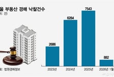 감정가 9억인데 16억에 낙찰…"갭투자 되잖아" 경매로 우르르
