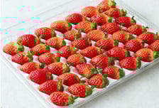 쿠팡, 논산시와 판매 위기 놓인 딸기 새롭게 상품화