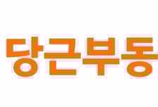 "집 보러 왔수다" 당근 부동산 '거래완료' 최다 지역은 제주