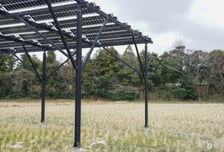 비싸다는 태양광 발전…낮·산단 근처면 정말 싸질까