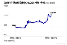 '공짜 배출권' 줄이니 가격 50% 껑충…전기요금 인상 요인?