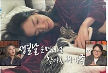 옥자연, 길고양이 구조해서 수술했더니 '시각 장애묘' 결국 입양 결정