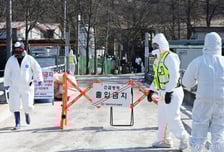 창녕 양돈농장서 아프리카돼지열병 추가 발생…올해 15번째 확진