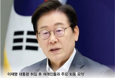 "경제 중심에 기업"…이재명 정부 고비마다 빛난 '원팀'