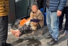 불난 집서 심정지 상태로 숨어있던 강아지들…소방대원이 살렸다