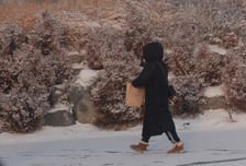 강원 태백·속초도 대설주의보…도내 9곳으로 확대