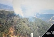 경북 청도군 야산 화재 1시10분 만에 진화…인력 127명 투입