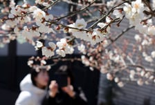 [내일 날씨] 눈 녹는다는 '우수'…아침엔 쌀쌀, 낮엔 포근