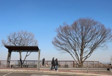 [오늘 날씨] 연휴 끝 첫 출근…아침 '영하권' 쌀쌀, 낮부터 포근