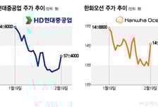 "지금 싸다, 비중 늘릴 기회"…트럼프가 닻 올려준 이 업종 반등