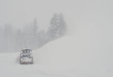 폭설 경고에도 스키 투어 강행…미국서 눈사태 덮쳐 8명 사망, 1명 실종