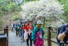 함께 걷는 서울 한바퀴…'서울둘레길 100인 원정대' 모집