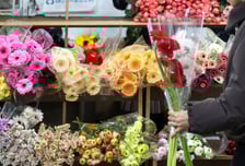 주말 낮 '19도' 반짝 봄 찾아온다…일요일엔 요란한 비바람