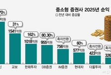 "나도 상한가야" SK증권 등 중소형사도 줄줄이…실적보니 알겠네