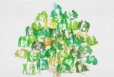 유한킴벌리, 안동 산불 피해지서 나무심기 행사…신혼부부 100쌍 모집