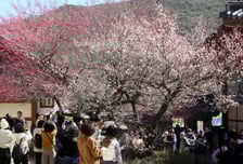 [내일 날씨] 아침 전국 대부분 영하…낮 최고 16도 '포근'