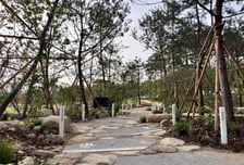 서울시, AFoCO와 서울숲 기관동행정원 조성…국제 산림협력 강화