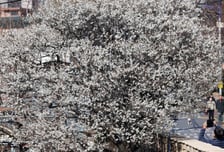 [오늘 날씨] 출근길 쌀쌀, 낮 최고 16도…전국 일교차 커