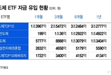 삼전·하닉 랠리..."더 갈 거지? 믿는다" 5조 뭉칫돈 몰린 '반도체 ETF'