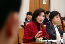 나경원, '尹 무기징역' 지칭한 듯 "헌정사의 비극...무거운 책임감 느껴"