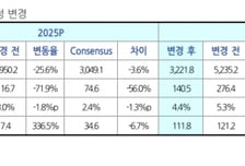 포스코퓨처엠, 하반기 실적 점진 개선 전망…목표가↑-현대차