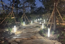 서울시·아시아산림협력기구, 기관동행정원 업무협약