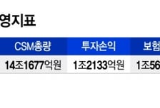삼성화재, 손보업계 악재속 2년 연속 '2조 클럽'…해외투자가 비결