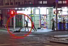 "망치에 맞아 죽을 뻔"...한국인 3명, 시드니 한복판서 '충격 피습'