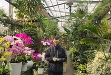 꽃집에 내려온 은행 컨설팅…'백년가게' 달고 마케팅 재가동