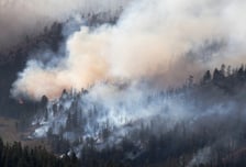 예산·서산 산불 '주불 진화', 석유기지 확산 막아…강풍으로 진화 애먹어
