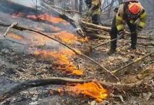 "서울 북한산 자락에 불났다" 등산객 신고...진화 작업 중