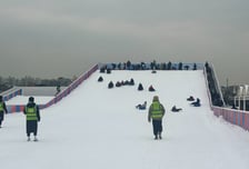 한강 눈썰매장, 50일간 18만 명 다녀갔다…개장 이래 최다 방문객