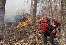 경남 함양 산불 오후 5시 현재 진화율 57%… 산림청 '대응 1단계 발령'