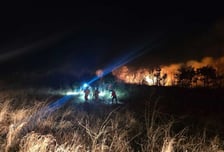 강원 고성 산불, 강풍 타고 확산…인근 리조트 투숙객·주민 대피령