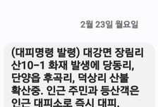 단양 야산서 새벽 산불…당동리·후곡리·덕상리 주민 '긴급 대피령'