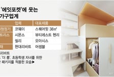 "내 조카 아프면 안돼"…통 크게 쓰는 이모·삼촌에 가전·가구업 '미소'