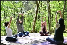 올해 산림복지서비스이용권 대상자 8.25만명 선정… 전년比 5500명↑