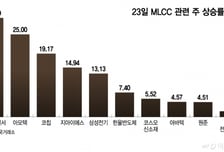 AI 신드롬, 반도체 다음은 '전자산업의 쌀'...상한가 찍었다